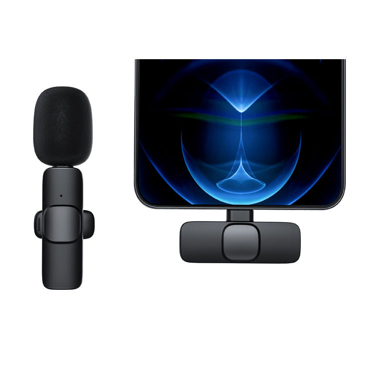 Portable Interview Microphone Kit