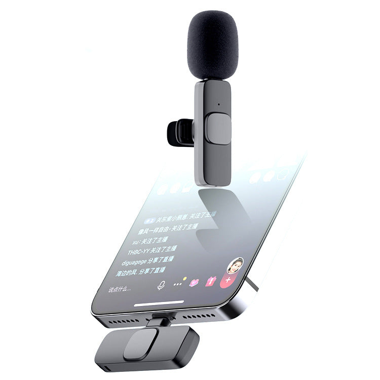 Portable Interview Microphone Kit